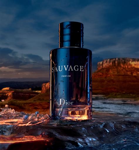 dior sauvage women perfume|dior sauvage the perfume shop.